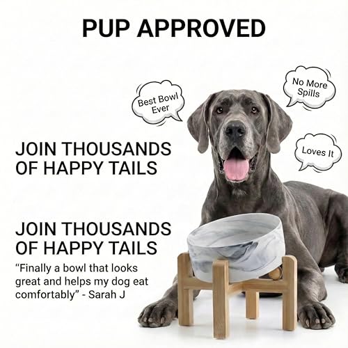 hjn Elevated Ceramic Dog Bowl 15°Slanted Raised Dog Bowl with Bamboo Stand for Small Medium Dogs and Cats, Pet Feeder -7.6-Cup (1800ml)-Marble Gray - color: Marble Gray, size: 7.6Cup