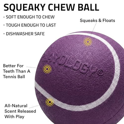 Playology Dog Toys | Squeaky Chew Ball for Large Dogs | Bacon Scented Jumbo Dog Balls | Bouncy Floating Chew Toys for Fetch - size: Jumbo, style: Bacon