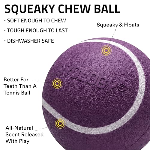 Playology Dog Toys | Squeaky Chew Ball for Dogs | Bacon Scented Medium Dog Ball | Bouncy Floating Chew Toys for Fetch - size: Medium, style: Bacon