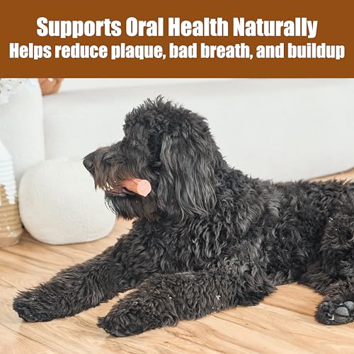 SPOT Bam-Bones Plus Branch -Bamboo Fiber & Nylon, Durable Long Lasting Dog Chew for Aggressive Chewers – Great Toy for Adult Dogs & Teething Puppies Under 90lbs, Non-Splintering, 9.5in, Beef Flavor - size: 9.5 inch (Pack of 2)