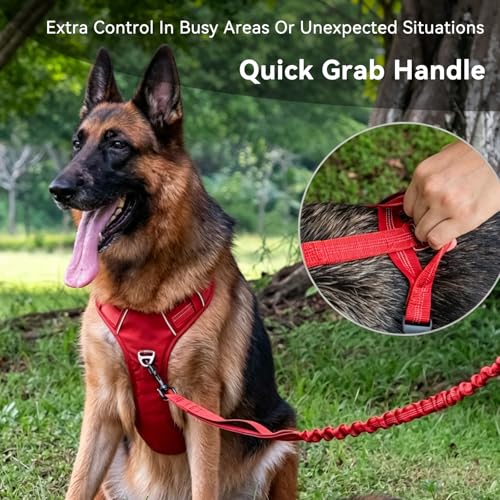 No Pull Dog Harness, Adjustable Vest with Front & Back Metal Leash Clips, Reflective for Safe Night Walks, Traffic Handle & Seatbelt Compatible, Breathable Padded Harness, Blue, L - color: Blue, size: L