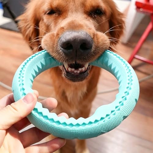 Dog Chew Ring Toy, Durable Rubber Teething Ring Aggressive Chewers, Non-Toxic Dental Cleaning Toy for Small & Medium Dogs, Interactive Fetch Tug Toy Mint Blue