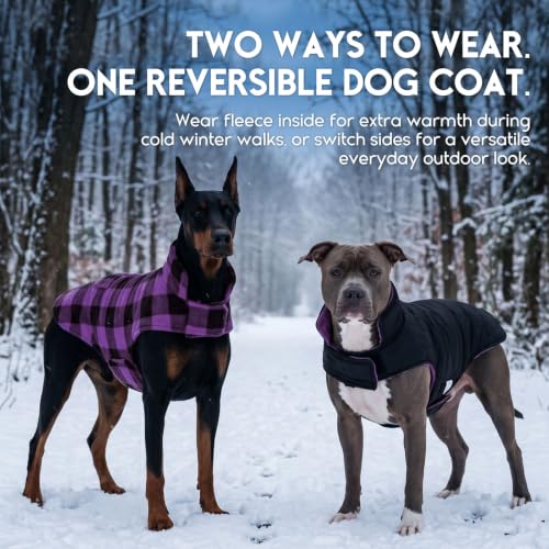 ASENKU Dog Jacket Plaid Reversible Reversible Dog Vest Waterproof Cold Winter Clothes Pet Apparel for Small Medium Large Dogs (XS, Purple) - color: Purple, size: X-Small