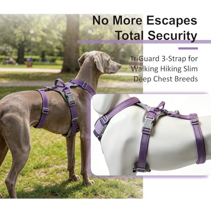 ThinkPet Flexfit 3-Strap Escape Proof Dog Harness, No Pull Front Clip 2-in-1 Vest with Control Handle, 360° Reflective Breathable Adjustable Harness for Greyhound Whippet Vizsla, Medium, Purple - color: Purple, size: Medium