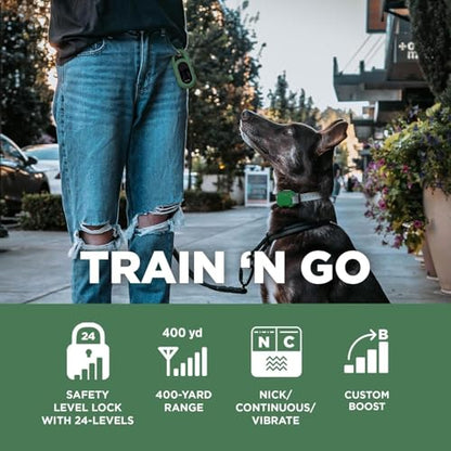 Dogtra CUE Green – E-Collar for Dogs Training Collar with Remote – Training Made Easy for Everyday Dog Owners – Gentle Vibration, Custom Boost, Waterproof, Rechargeable, 400-Yard Range System - color: Gen 1 Green