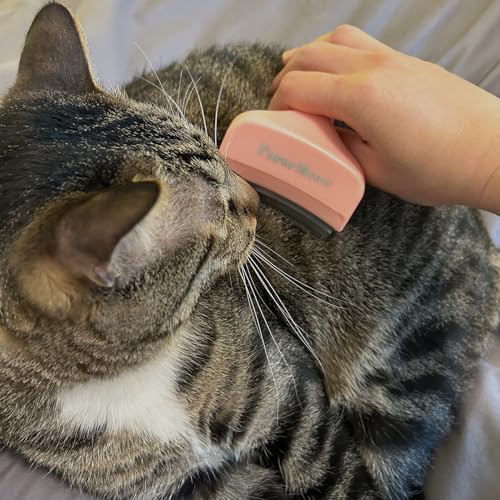 Pet Deshedding Tool with Curve Blade, Cat Grooming Brush, Tight V-shaped Teeth Shedding Comb for Cats and Dogs (Pink, Small) - color: Pink, size: Small