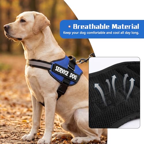 MUMUPET Service Dog Vest Harness, No Pull Reflective Adjustable with Handle, Soft Breathable Padding for Small Dogs, 2 Removable Velcro Patches (Blue, XS) - color: Blue, size: X-Small