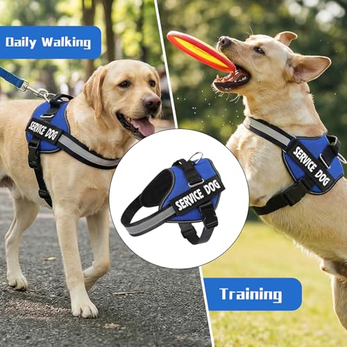 MUMUPET Service Dog Harness, No Pull Reflective Adjustable with Handle, Soft Breathable Padding for Small Dogs, 2 Removable Velcro Patches (Blue, S) - color: Blue, size: Small