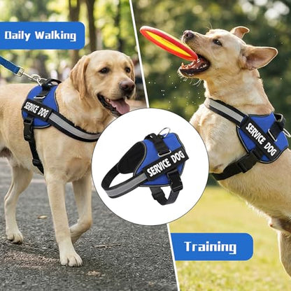 MUMUPET Service Dog Vest Harness, No Pull Reflective Adjustable with Handle, Soft Breathable Padding for Small Dogs, 2 Removable Velcro Patches (Blue, XS) - color: Blue, size: X-Small