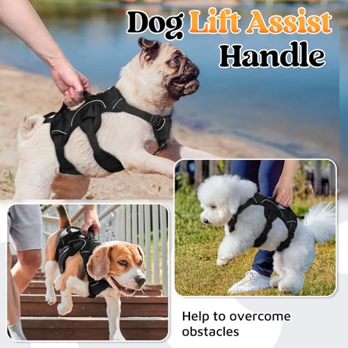 rabbitgoo Escape Proof Dog Harness, Soft Padded Full Body Pet Harness, Reflective Adjustable No Pull Vest with Lift Handle and Leash Clip for Large Dogs Walking Hiking Training, S, Black - color: Black, size: Small (Pack of 1)