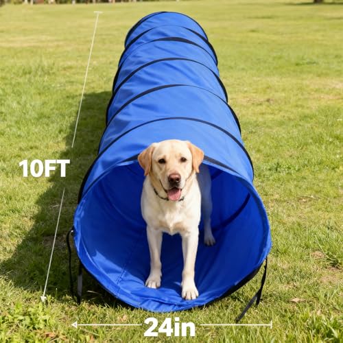 Dog Agility Tunnel with Carry Bag and Ground Spikes, Foldable 10-Foot Tunnel for Dog Training, Dog Agility Equipment for Outdoor, Backyard, Indoor Use, KINETOVOLTA