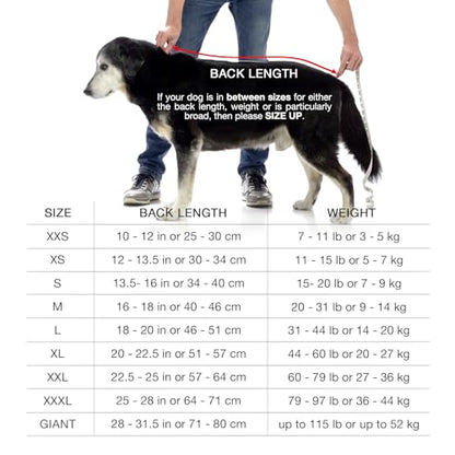Lucky Pooch® Dog Robe - Luxurious Dog Bathrobe - Ultra Absorbent Dries Your Dogs in Minutes! Double-Layer, Super Soft Towel and Bath Robe All in One (M, Gray) - color: Grey, size: M