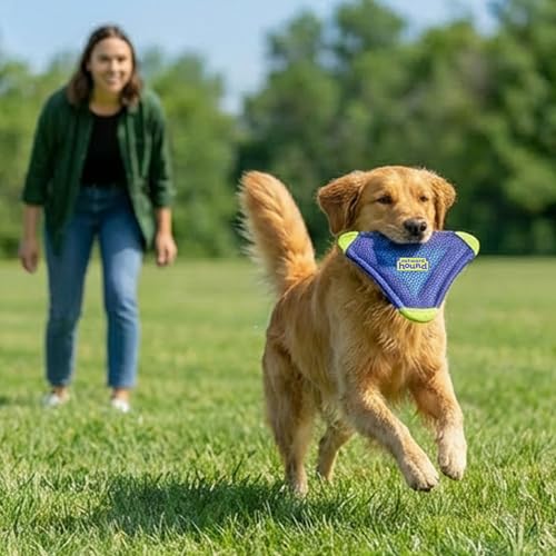 Outward Hound FlyFetch Flyer Dog Toy, Lightweight, Floats in Water, All Breeds, 10" x 11.2" - color: Flyer Purple