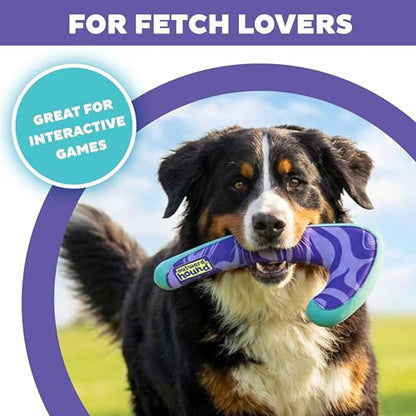 Outward Hound FlyFetch Boomerang Dog Toy, Lightweight Foam Core, Rubber Rim, Floats in Water, All Breeds, 11" - color: Boomerang Purple