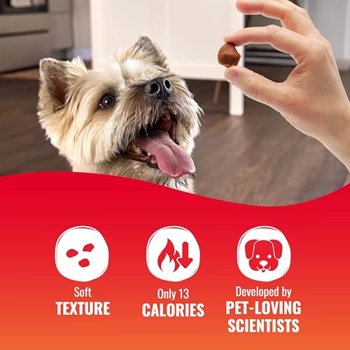 GOOD ‘N’ TASTY KABOB BITES, TREATS FOR DOGS - size: 4 Ounce (Pack of 12), style: Kabob Bites