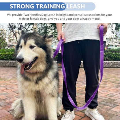 Strong Heavy Duty Dog Leash - 5ft Reflective Nylon Training Leash with Soft Padded Double Handle & Auto Lock Frog Clip, Safety Traffic Control for Large Medium Small Dogs No Pull Walking Purple,5ft - color: Purple, size: 5FT x 1" x 2.8MM