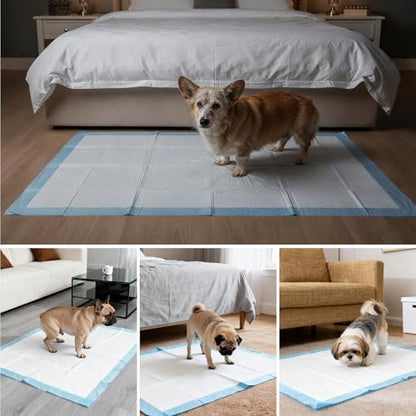 Gimars XL 6-Layer Ultra Absorbent 1200ml 48-Hour Leak-Proof Dog Pee Pads, Quick Dry Extra Large Puppy Pads for Puppy Training, Senior & Incontinent Dogs, Cats, Overnight Use, 28"x34", 30 Count - size: 28"x34"- Blue 30 Counts
