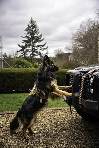 OneTigris Tactical Dog Harness with 5X Metal Buckle,Dog MOLLE Vest with Handle,No Pulling Front Clip,Hook and Loop Panel for Dog Custom Patch - color: Brown, size: M