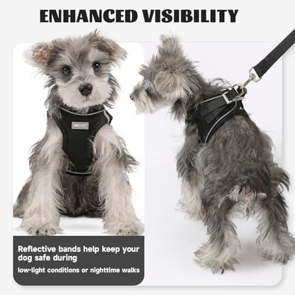 Dog Harness Small Sized and Leash Set, Step in Soft Light Puppy Vest, Breathable Mesh Pet Harness, Reflective for Safe Easy Walking. - color: Black, size: Small (Pack of 1)