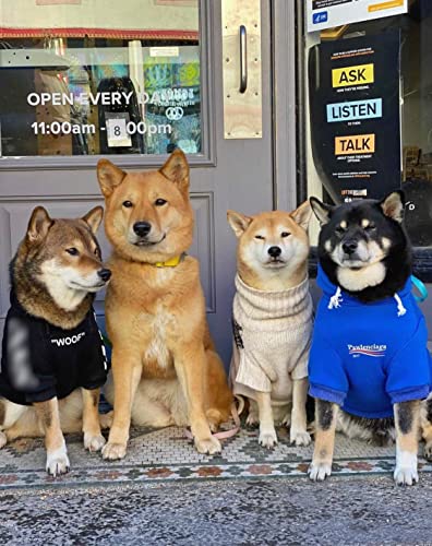 ChoChoCho Stylish Streetwear Blue Dog Sweatshirt Tracksuits, Cats Hoodies, Dog Outfit for Cat Puppy Small Medium (5XL) - color: Pawlenciaga, size: 5XL (Chest: 32.3''-36.6'' / Suggest: 89-139 lbs)
