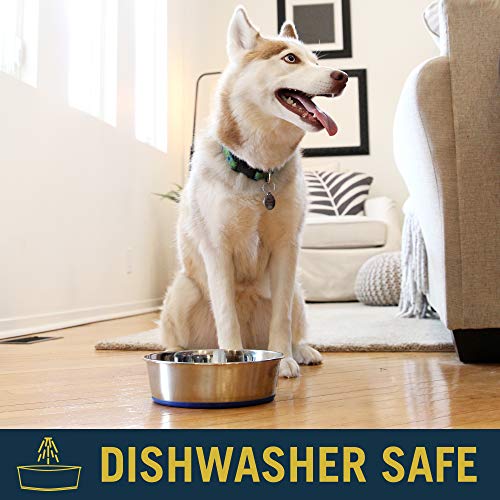 OurPet's DuraPet Premium Dishwasher Safe Stainless Steel Dog Bowl for Food or Water [Multiple Sizes for Small to Large Dogs] in Traditional or Wide Base Design - 8 CUP | camping-kitchen-equipment - size: 8 Cups