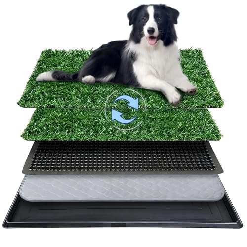Artificial Grass Potty Pad for Dogs, 20x30 Inch Indoor Dog Litter Box with Tray, 2 Reusable Turf Pads & Washable Pee Pad, Portable Pet Potty System for Balcony, Patio, Apartment - size: Large-2 Grass Pad with Changing pad
