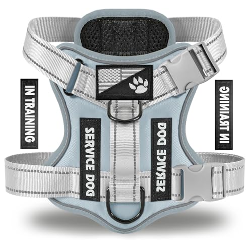 Service Dog Harness, Reflective Dog Vest Harness with 5 PCS Patches, Adjustable Soft Oxford Pet Harness, Inner Layer Mesh, Easy to Control for Small Medium Large Dogs - color: Silver, size: X-Small (Pack of 1)