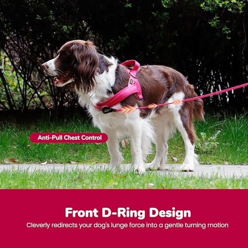 Didog No Pull Dog Harness with Breathable Mesh Padded,Reflective & Quick Fit Light Weight Dog Strap Vest Harness,Easy for Walking Training (L:Chest 26-32", Mesh-Hot Pink) - color: Hot Pink, size: L: Chest 26-32", Fit 50-80 lbs