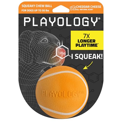 Playology Dog Toys | Squeaky Chew Ball for Dogs| Cheddar Cheese Scented Medium Dog Ball | Bouncy Floating Dog Balls - size: Medium, style: Cheddar Cheese