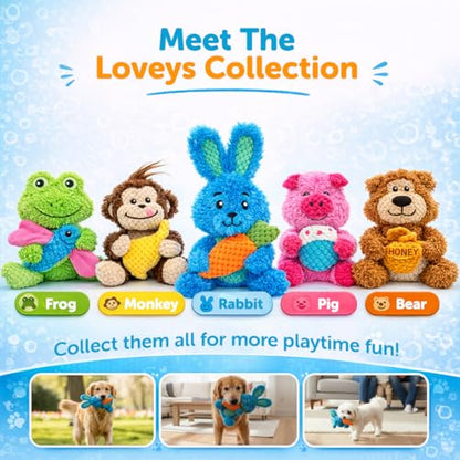 GURU Loveys Soft & Cuddly Rabbit Dog Toy with Removable Squeaker - Dog Toy with Multiple Textures to Stimulate Play & Engage Your Dog’s Instincts- Puzzle Dog Toy, Low-Pile & Bubble Plush - style: Rabbit