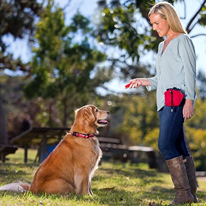 Company of Animals Treat Bag, Red, Zipped Pockets & Drawstring, Clips on Belt, Waistband or Pocket, Waterproof Treats Pouch, Ideal for Dog Walking & Puppy Training - color: Red