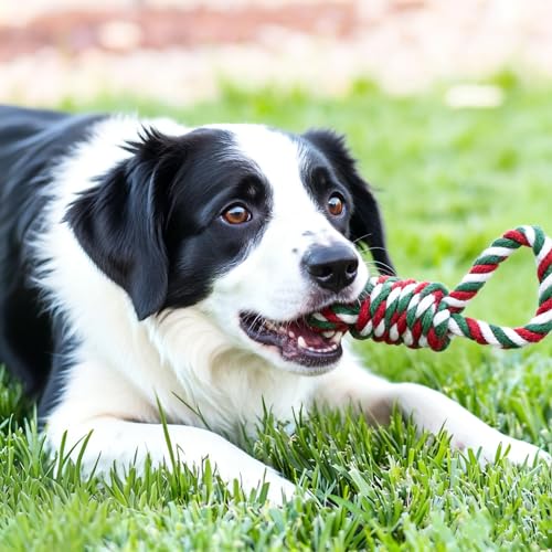 Christmas Dog Toy Set for Medium & Large Dogs - 7pcs Festive Chew Toys (5 Cotton Rope, 1 Squeaky Santa Plush, 1 Gift Bag) | Safe Durable Teeth Cleaning Holiday Dog Gifts for Heavy Chewers - color: Christmas