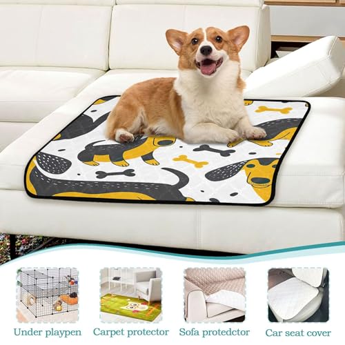 Qilmy Dogs Pet Mat, Waterproof Reusable Dog Training Pad Anti-Slip Pet Creat Pad for Small Medium Large Dogs and Cats - size: Medium+Large