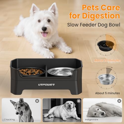 URPOWER 3-in-1 Elevated Dog Bowls - Mess Proof Double Deck 4 Height Adjustable Raised Stand with Stainless Steel Bowl & Slow Feeder & Licking Plate for Small, Medium & Large Dogs - color: Matte Black, size: Large