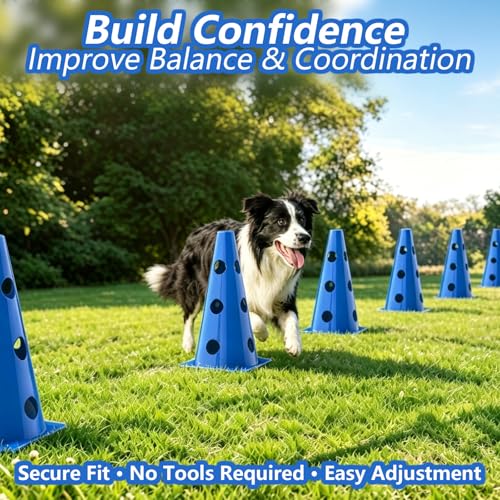 Dog Agility Cone Hurdle Set, 3 Adjustable Heights, 12 Pack | Adjustable Height Dog Agility Course for Backyard Training, 12 Cones with PVC Crossbar - size: 12-Pack Hurdle Cone