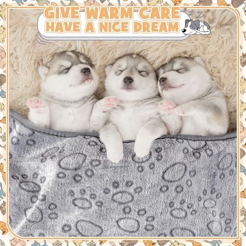 Tegeme 12 Pcs Pet Blankets 30 x 20 Inch Soft Fluffy Fleece Dog Cat Warm Paw Print Pattern Blankets Flannel Throw for Pets Dog Puppy Cat(Gray) - color: Gray, size: 30 x 20 Inch