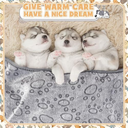 Tegeme 12 Pcs Pet Blankets 30 x 20 Inch Soft Fluffy Fleece Dog Cat Warm Paw Print Pattern Blankets Flannel Throw for Pets Dog Puppy Cat(Gray) - color: Gray, size: 30 x 20 Inch