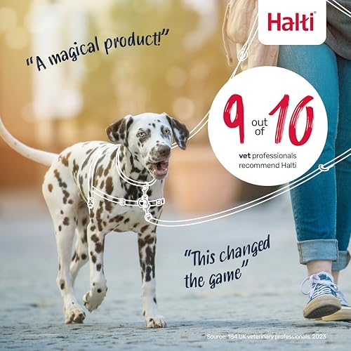 Halti Front Control Harness - Stop Your Dog Pulling on the Leash. Adjustable, Lightweight and Easy to Use. Anti-Pull Dog Training Harness for Large Dogs (Size L) - size: Large