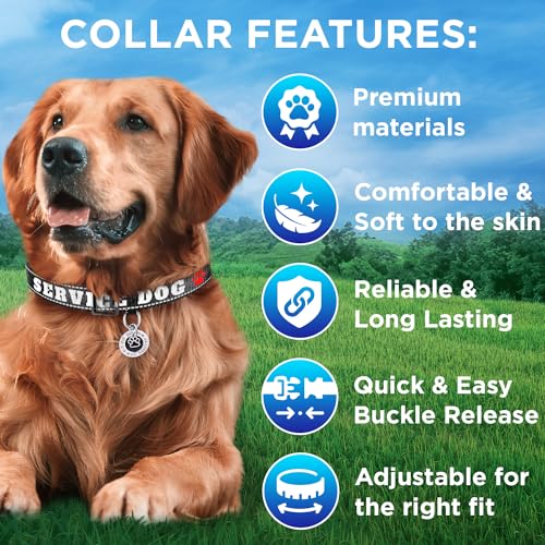 TECEUM Reflective Pet Collar – Black - Service Dog – XS – Extra Soft Padding – Basic Nylon Dog Collar – Quick Release Buckle – Fits Small, Medium and Large Dogs, Puppies, Cats - color: Black - Service Dog, size: X-Small