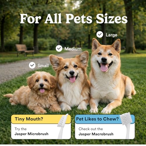 Jasper Dog Toothbrush, 360 Degree Dog Tooth Brushing Kit, Cat Toothbrush, Canine Dental Care & Teeth Cleaning Kit, Pet Finger Tooth Brush, Use with Pet Toothpaste, 4-Pack Blue - color: Blue (4-pack)