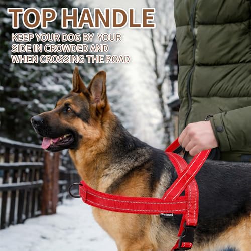 No Pull Dog Harness and Leash Set-Reflective Vest with Handle&5FT Dog Leash with Car Seatbelt Clip,Breathable Mesh&Quick Fit Dog Harness Easy for Medium Large Dogs Training Walking (Red,L) - color: Reflective-Red, size: L:Belly Chest-25.8''-31.4''
