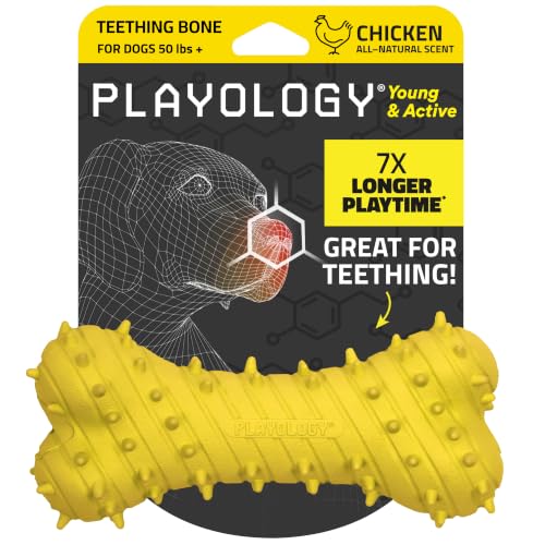 Playology Dog Toys | Teething Bone for Large Puppies and Young Dogs | Chicken Scented Jumbo Dog Bone Chew Toy | Teething Puppy Essentials - size: Jumbo, style: Chicken