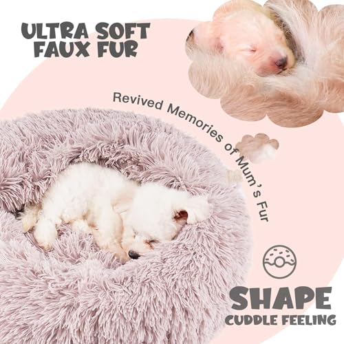 Himax Dog Beds for Small Dogs, Donut Dogs Beds with Blanket Attached, Calming Dog Bed Washable (20"/26"/35") Beige - color: Beige, size: 20.0"L x 20.0"W x 7.0"Th