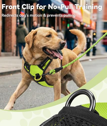 Joytale No Pull Dog Harness Medium Sized Dog, Reflective Pet Vest with Front Clip, Adjustable Soft Padded Harnesses with Easy Control Handle for Training and Walking, Green, M - color: Green, size: Medium