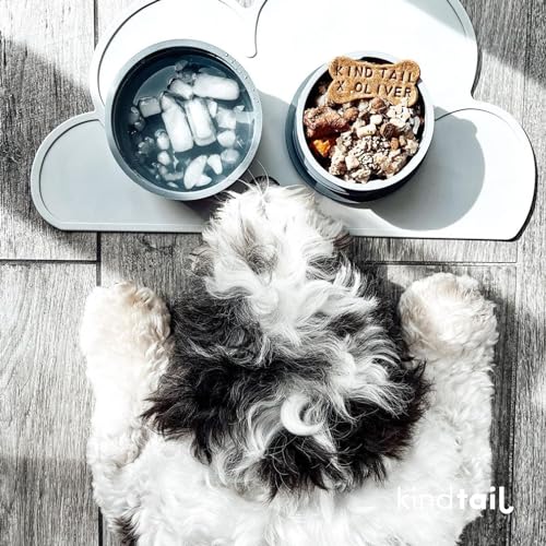 KindTail Portable Pet Feeder, Travel Dog Bowls with Lid and Handle, Microwave and Dishwasher-Safe, 10oz Inner Bowl & 20oz Outer Bowl, Grey - color: Grey, size: Small