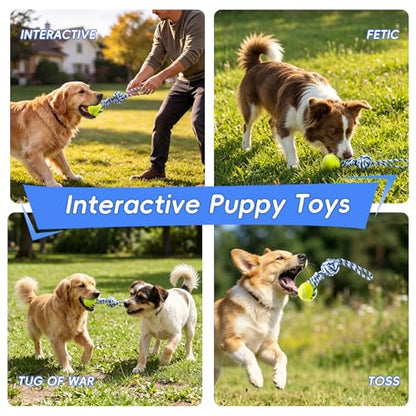 Interactive Tug of War Rope Toy for Medium & Small Dogs - Outdoor Tether Tug Toy with 1 Knot & Tennis Ball, Puppy Teething Chew Cotton Toy