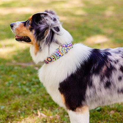 Country Brook Petz - Yellow Boho Mandala Martingale Dog Collar - Groovy Collection Featuring Far Out Designs (1/2 Inch, 2XS) - color: Yellow Boho Mandala, size: 2XS (Pack of 1)