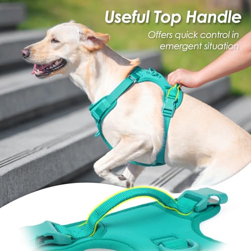 No Pull Dog Harness, Puppy Vest with Front Clip for Small Medium Large Sized Dog(MARRS Green,XS) - color: MARRS Green, size: XS(Neck:11.8-16.5", Chest:14.2-19.7")