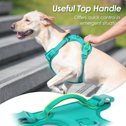 No Pull Dog Harness, Puppy Vest with Front Clip for Small Medium Large Sized Dog(MARRS Green,XS) - color: MARRS Green, size: XS(Neck:11.8-16.5", Chest:14.2-19.7")