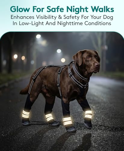 Dog Suspender Boots - Waterproof, Adjustable & Anti-Slip for All-Weather Paw Protection - 2026 Upgrade Dog Snow Boots with Durable Rubber Sole, Fleece Lining, Reflective Straps (M) - size: M